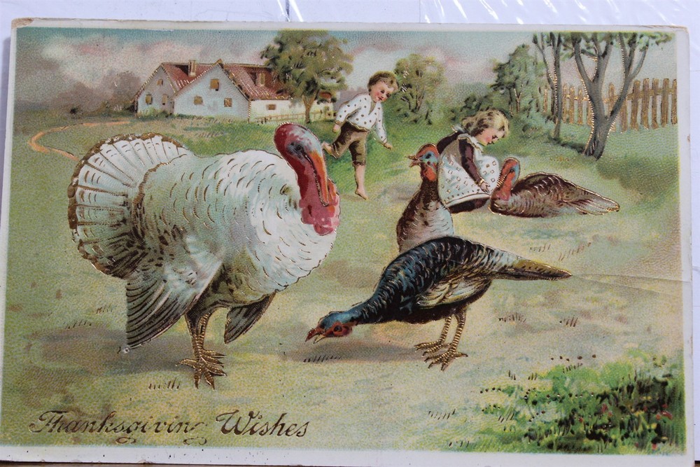 Thanksgiving Wishes Postcard Old Vintage Card View Standard Souvenir Postal Post