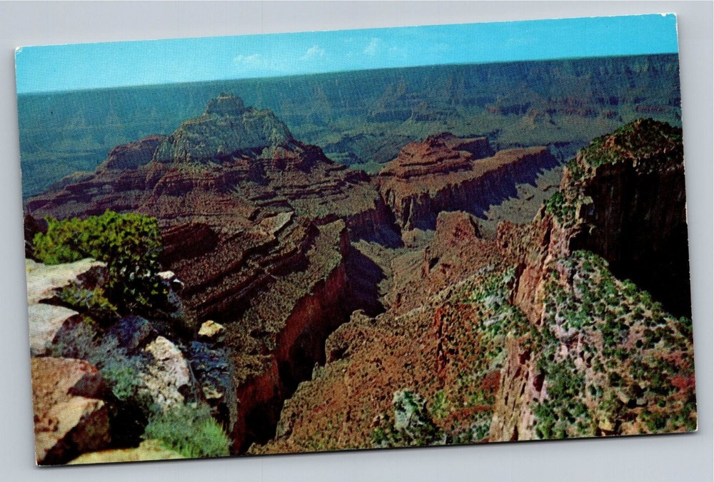 Vintage Grand Canyon Cape Royal North Rim View Postcard Arizona