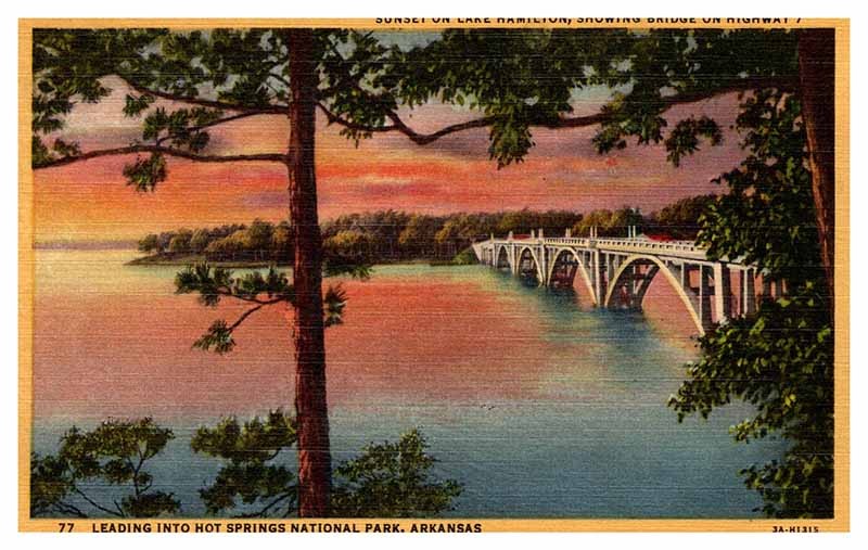 Postcard SCENE Hot Springs National Park Arkansas AR m/09 AP5765
