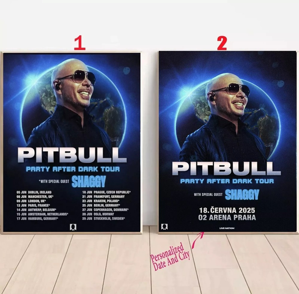 Custom Pitbull's Party After Dark Tour 2025 Poster No Frame