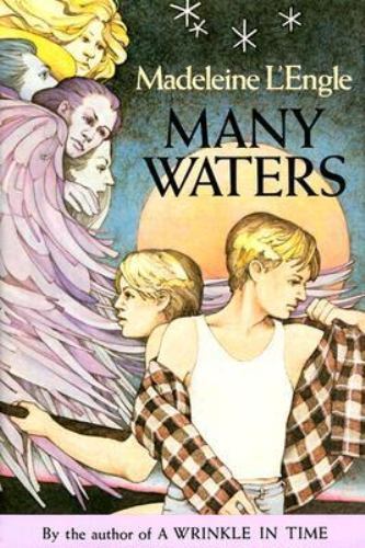 Many Waters by L'Engle, Madeleine, Acceptable Book