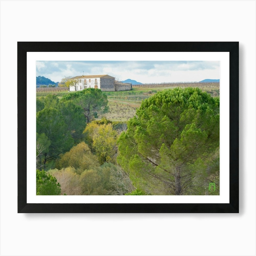 Vineyards and Trees Landscape Framed Wall Art Canvas Print 2021