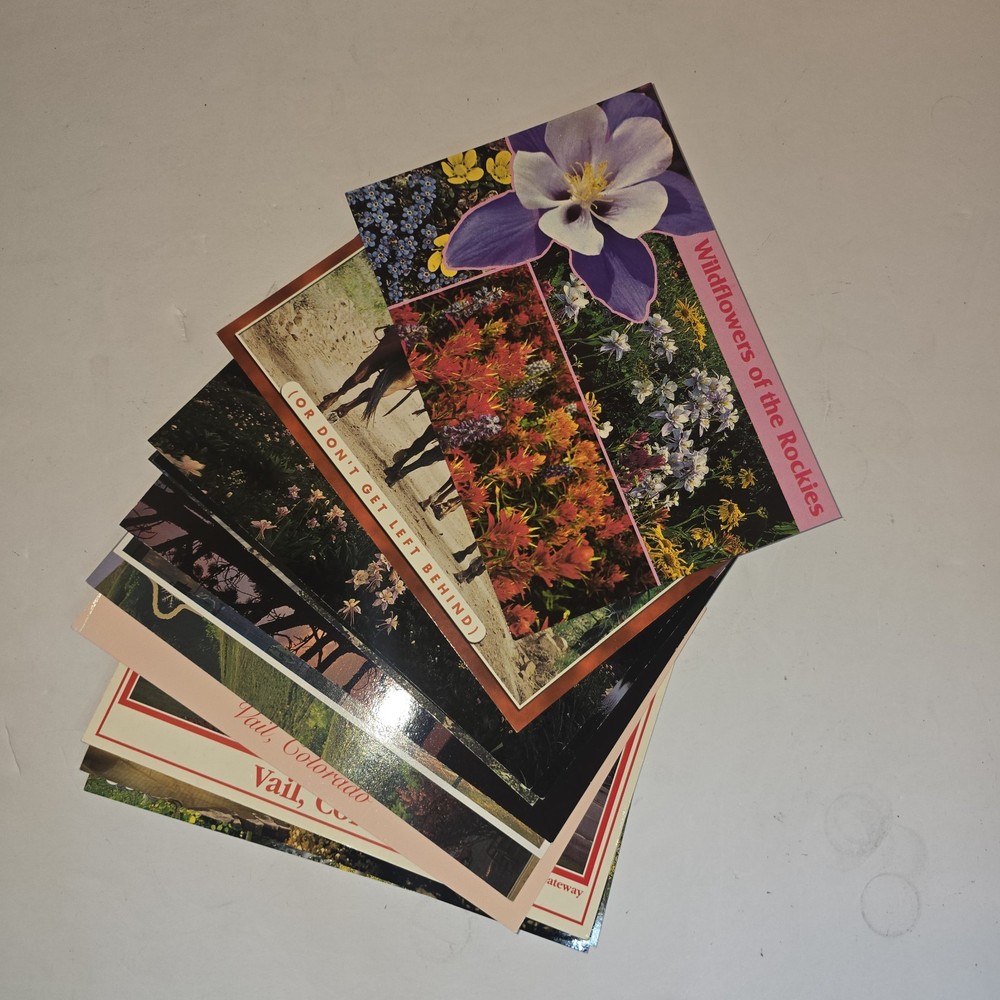 Lot of 13 Vintage Colorado Postcards - Unused
