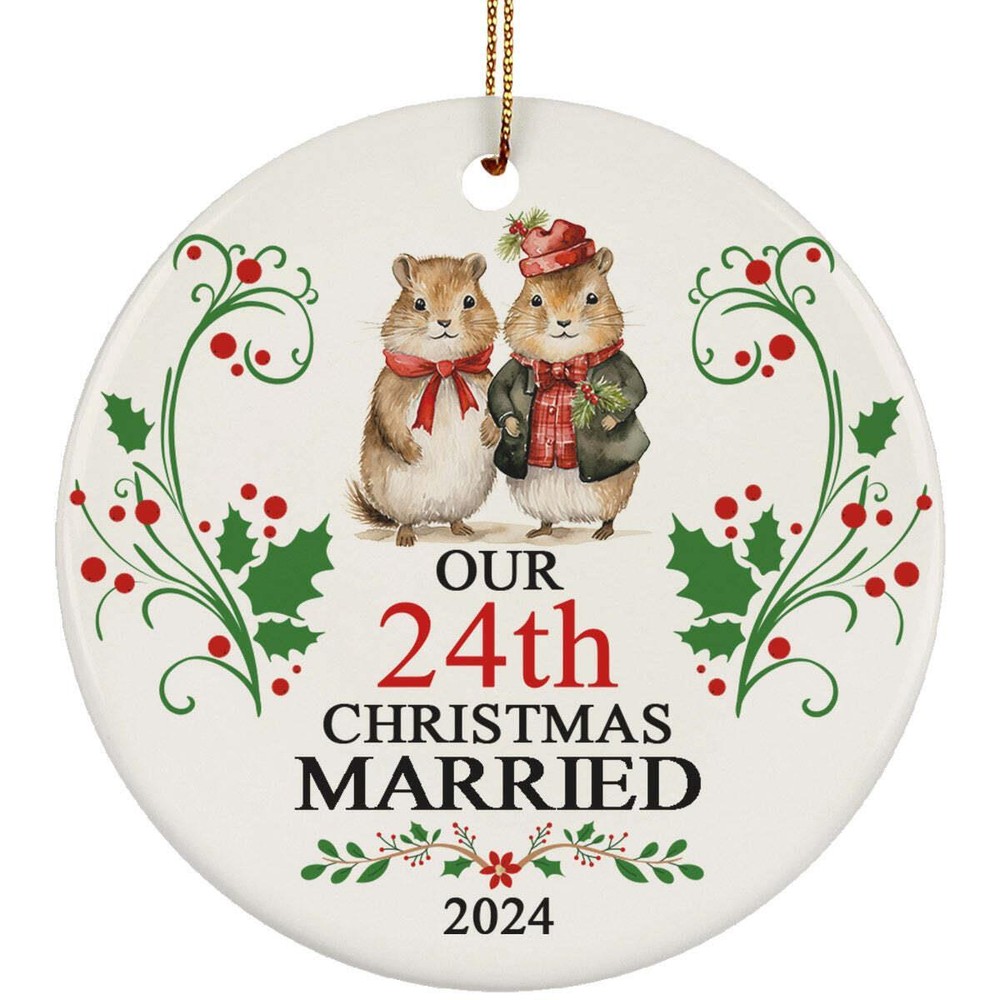 Our 24th Year Christmas Married Ornament Gift 24 Anniversary With Hamster Couple