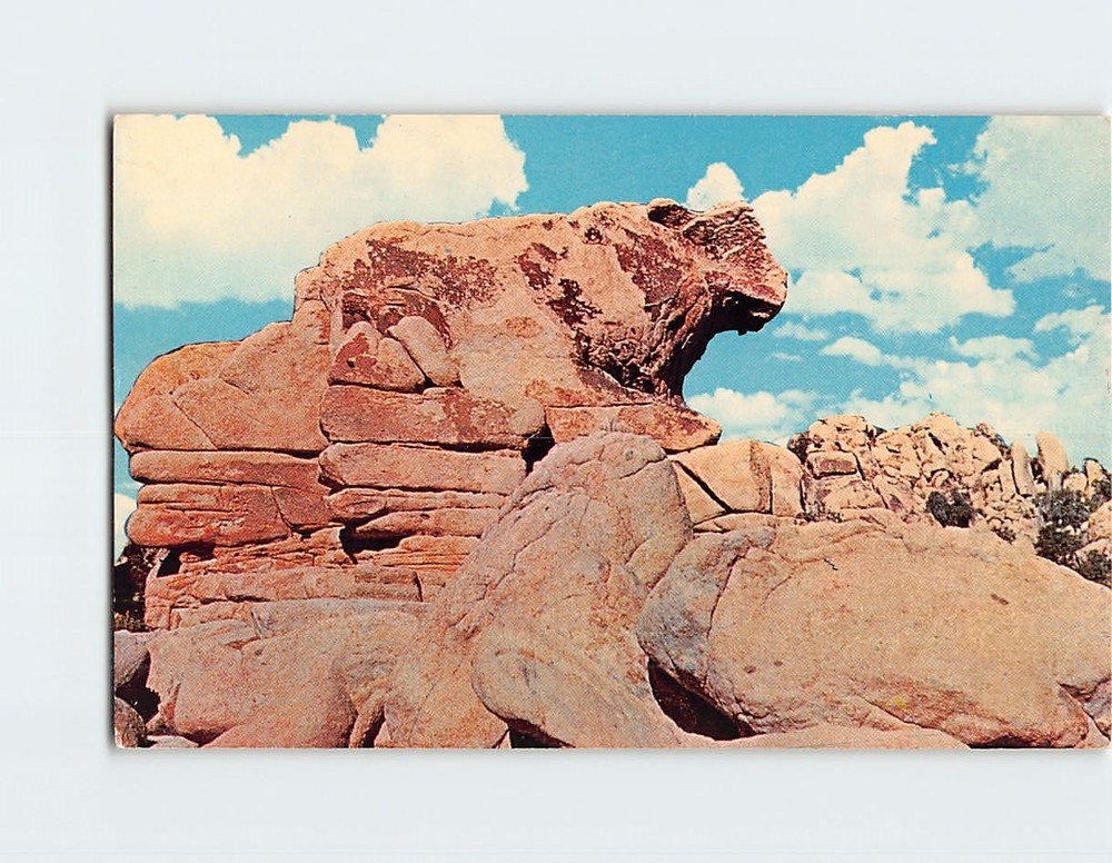 Postcard The Ox Joshua Tree National Monument California USA