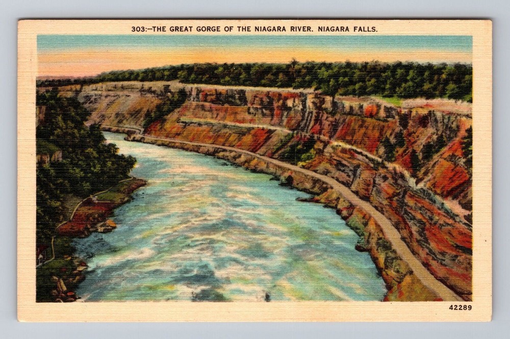 New York NY Niagara Falls The Great Gorge Of Niagara River Vintage Postcard