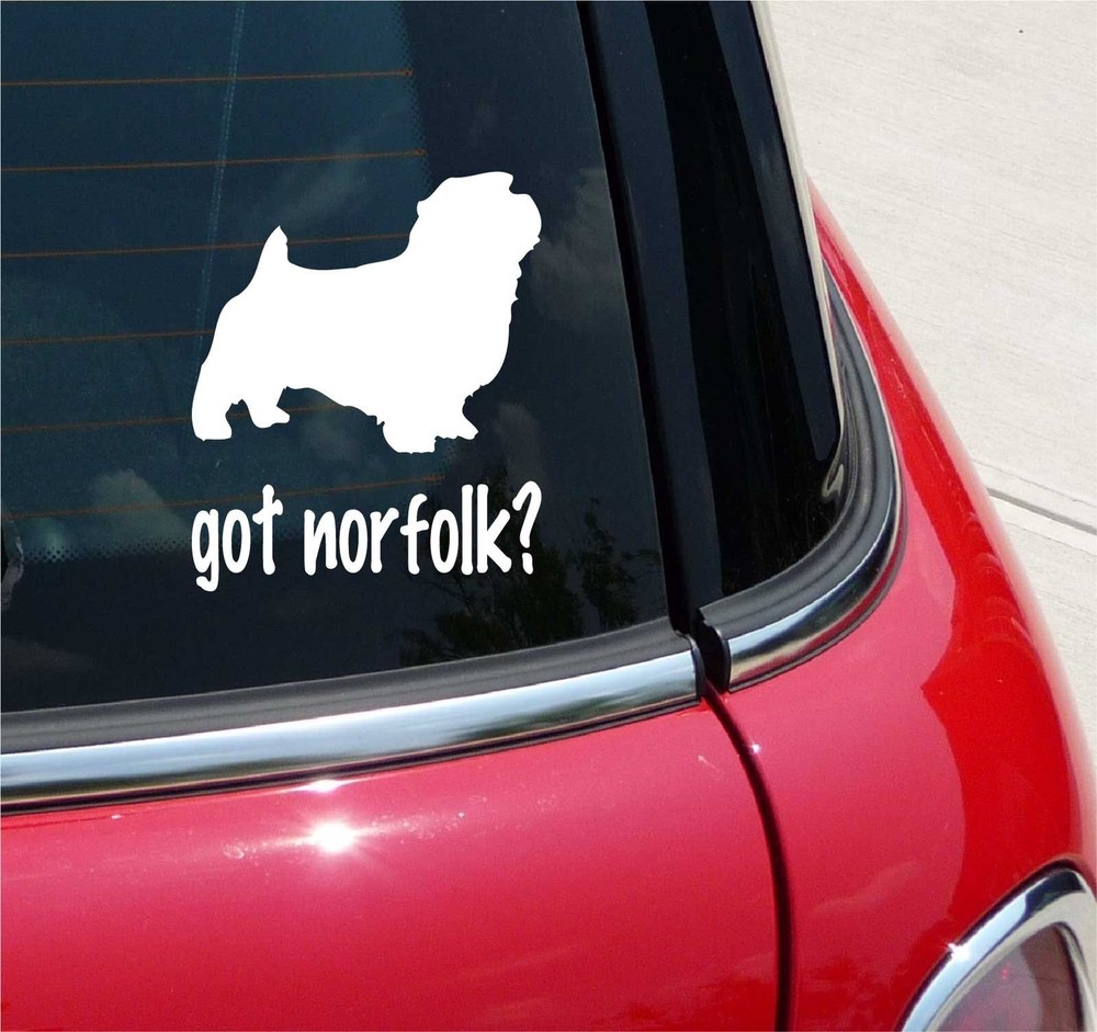 GOT NORFOLK? NORFOLKS TERRIER DOG GRAPHIC DECAL STICKER ART CAR WALL