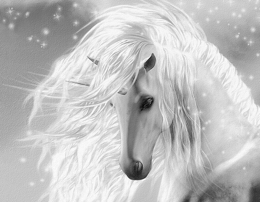 Beautiful Fantasy Unicorn flowing mane gray *FRAMED* CANVAS ART  18x12