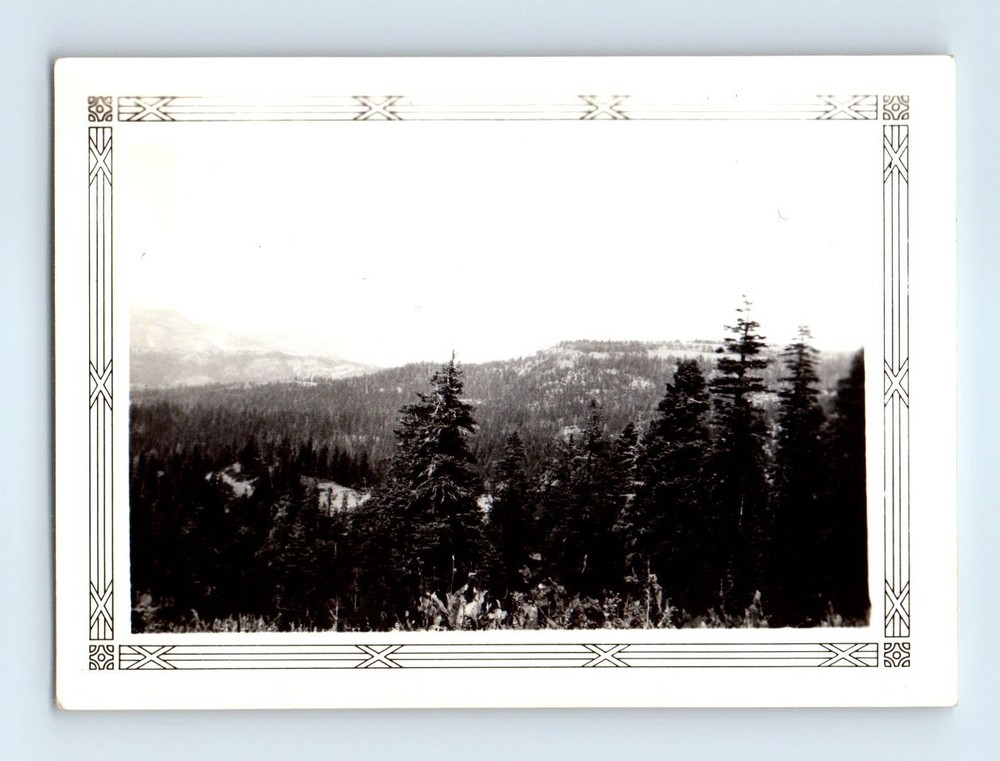 Old Vintage Photo MOUNTAIN LANDSCAPE FOREST TREES DECORATIVE BORDER SNAPSHOT