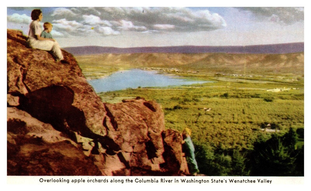 WA Washington Overlooking Apple Orchards in Wenatchee Valley Chrome Postcard