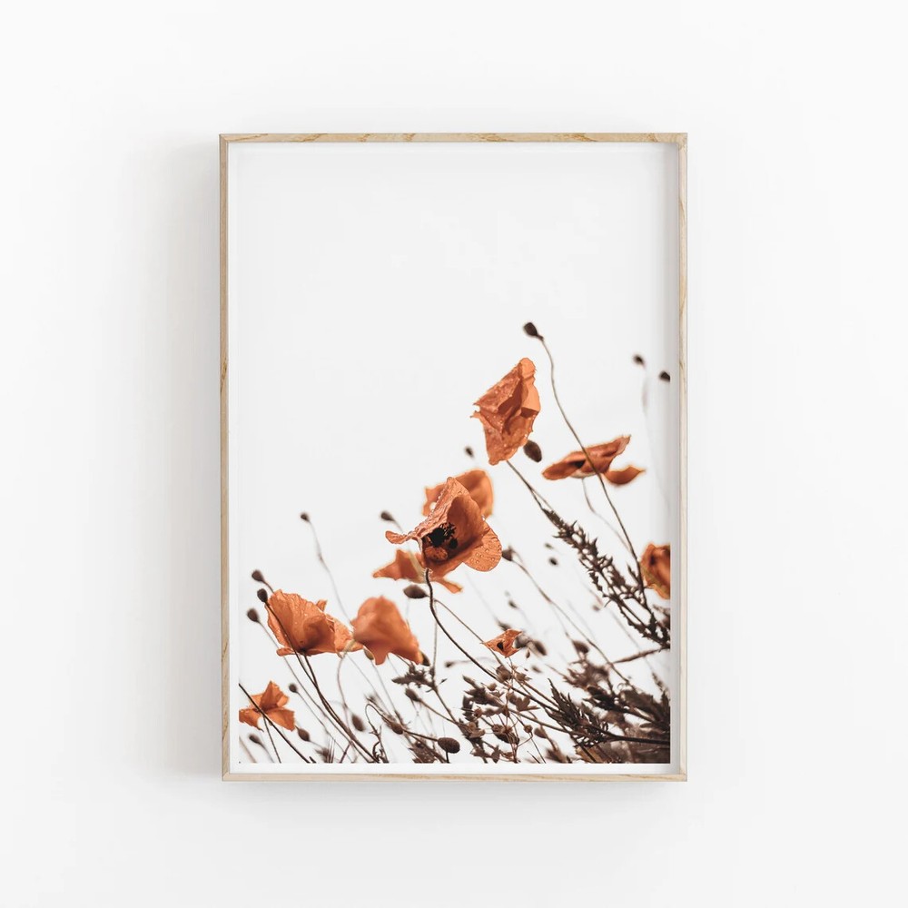Poppies Flower View Wall Art Poster Premium Quality Choose your Size