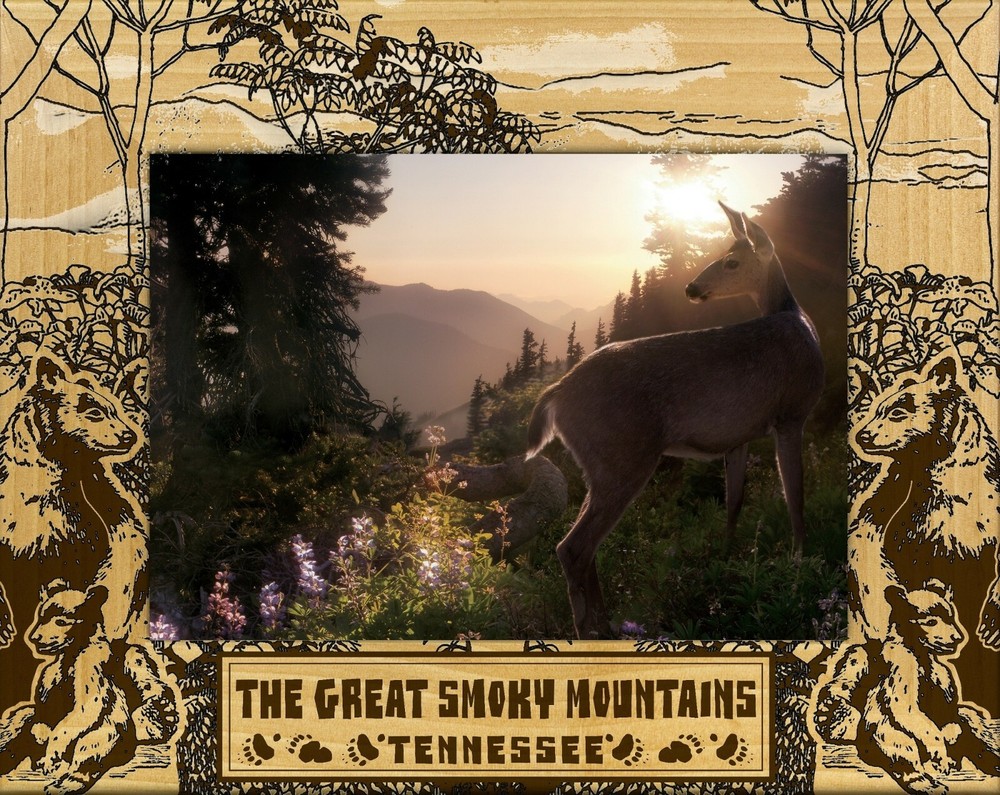 The Great Smoky Mountains Tennessee Laser Engraved Wood Picture Frame (4 x 6)