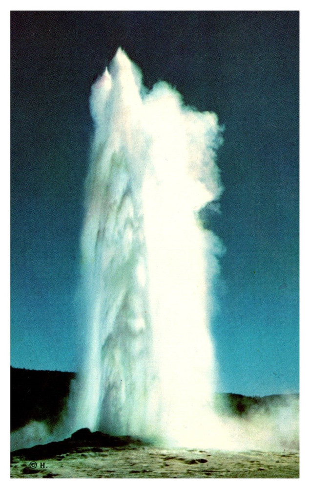 Yellowstone National Park WY Wyoming Old Faithful Geyser Chrome Postcard