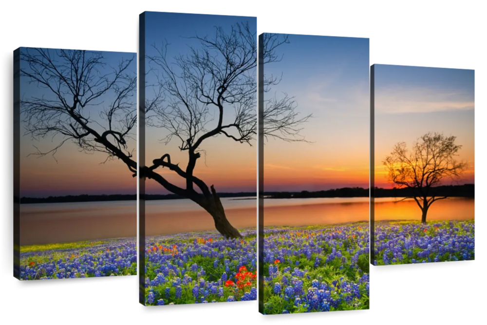 Texas Sunset Wall Art