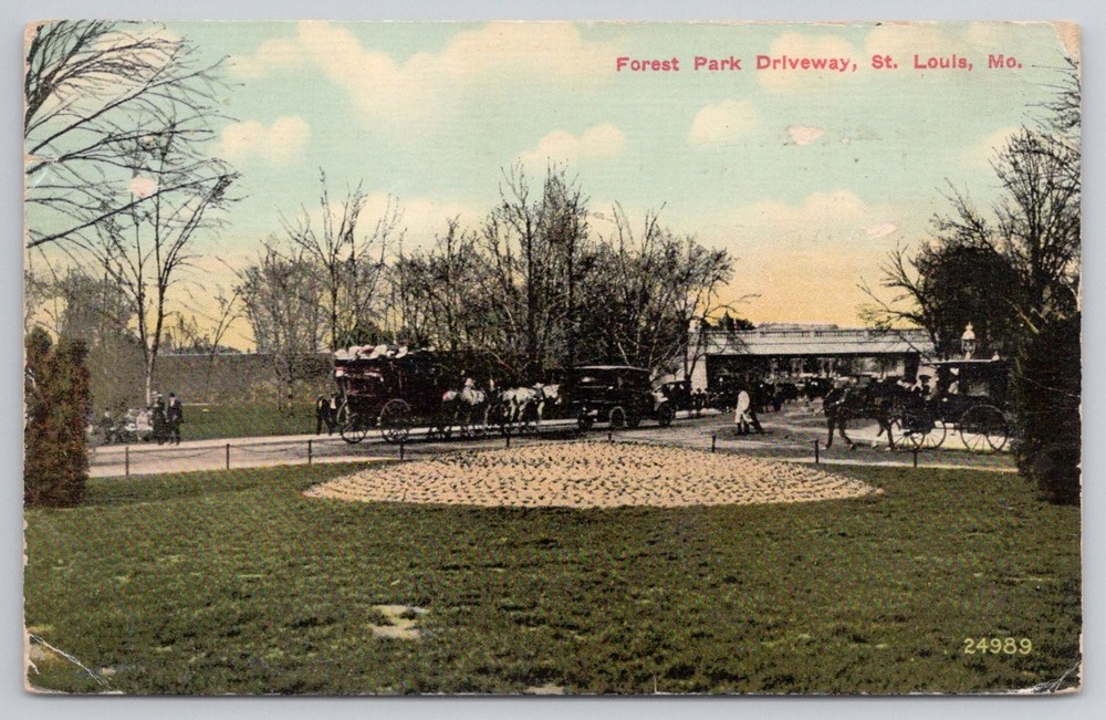 1912 Forest Park Driveway St. Louis MO Horse Carriages Early Auto Postcard