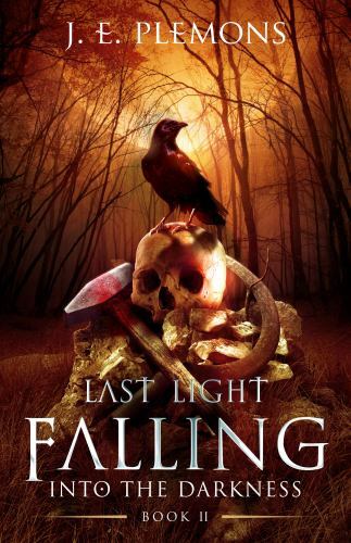 Last Light Falling - Into The Darkness, Book II, Like New Used, Free shipping...