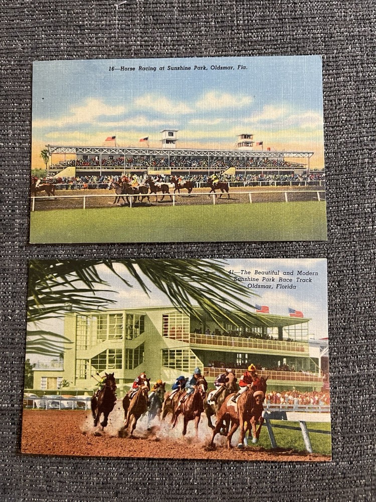 Vintage Linen Postcards Oldsmar, Florida~ Horse Racing at Sunshine Park