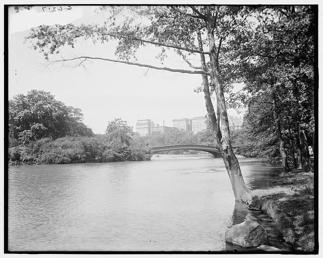 Photo:Central Park Lake New York NY 1900s Bow Bridge Trees Skyline