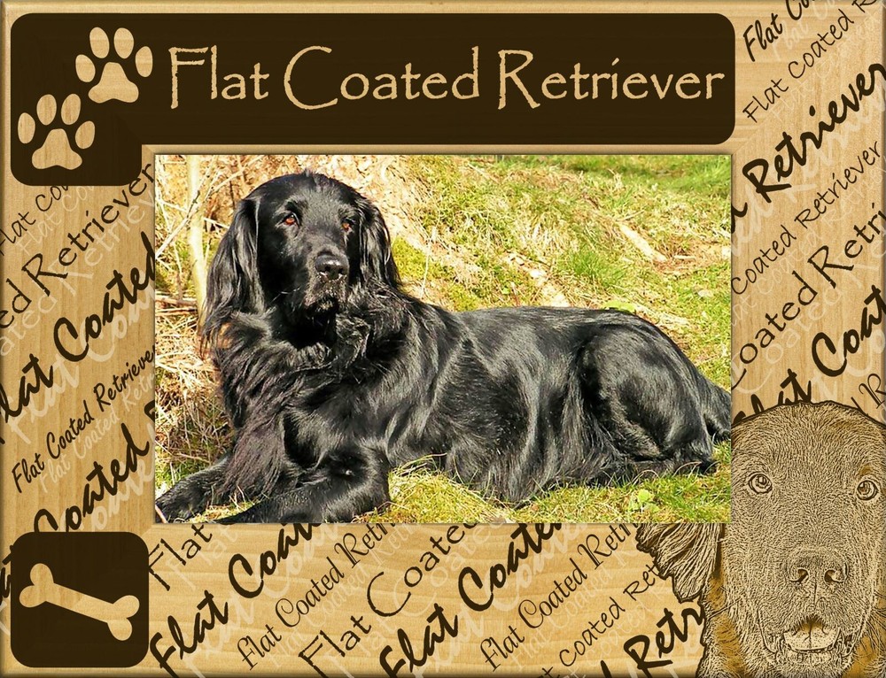 Flat Coated Retriever Laser Engraved Wood Picture Frame Landscape (4 x 6)