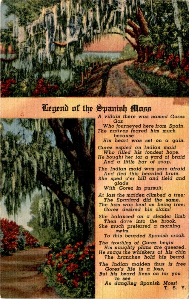 Spain, Indian maid, Gorez, Indian, Florida, T.S.Y, Chicago, Art-Col Postcard