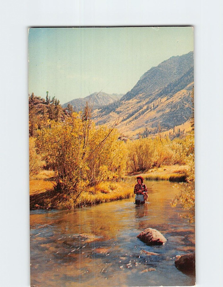 Postcard Bishop Creek Canyon South Fork Bishop California