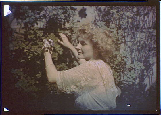 Photo:Woman picking flowers growing on a wall