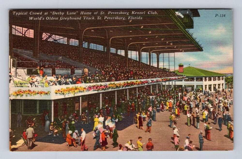 St Petersburg FL-Florida, St Petersburg Kennel Club, Vintage Souvenir Postcard