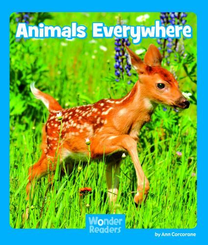 Animals Everywhere, Paperback by Corcorane, Ann, Brand New, Free shipping in ...