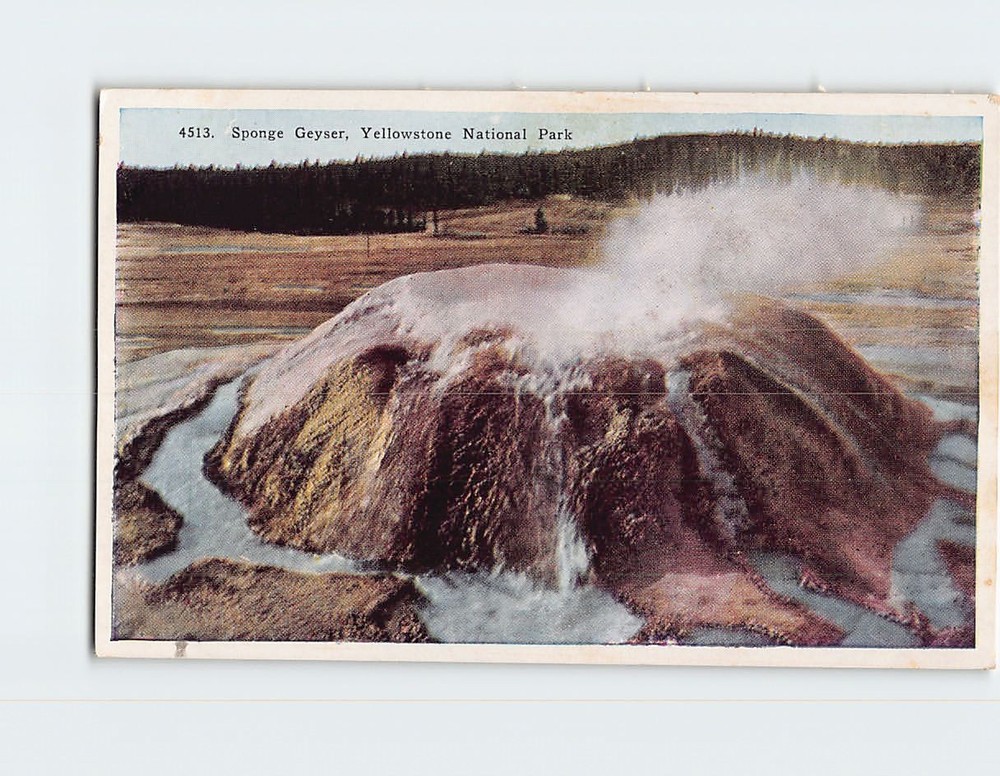Postcard Sponge Geyser Yellowstone National Park Wyoming USA