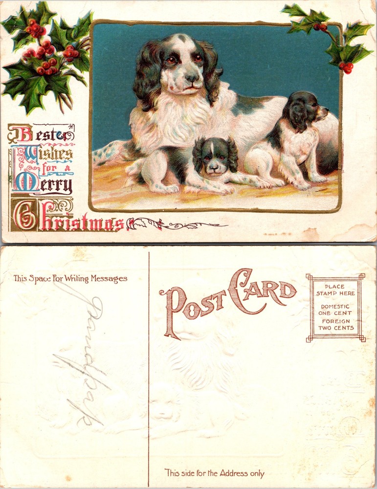Best Wishes for a Merry Christmas Dogs Postcard