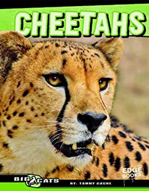 Cheetahs Library Binding Tammy GagneFree US Delivery | ISBN:1429676418