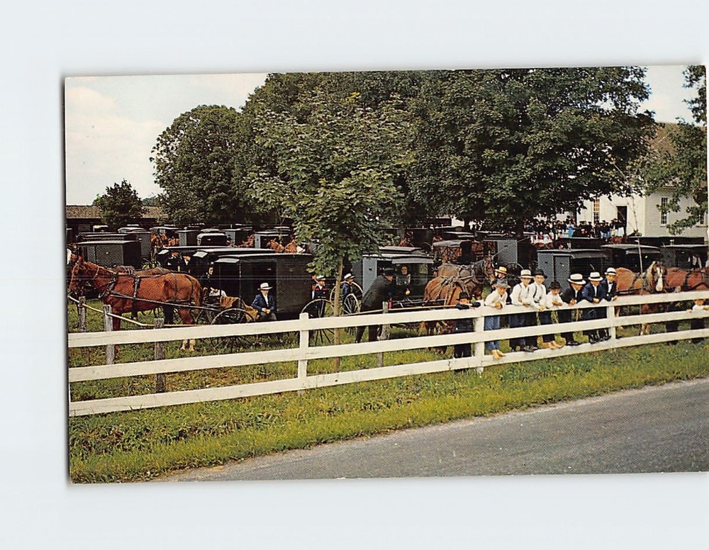 Postcard Heart of Dutchland Old Order Mennonites Amish Farm Country Pennsylvania