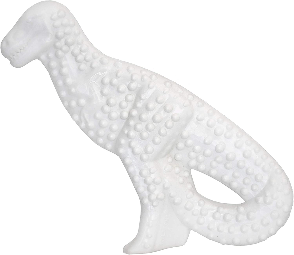 Power Chew Dental Chew Toy Durable Dinosaur Dog Toy, Chicken Flavor, Small/Regu