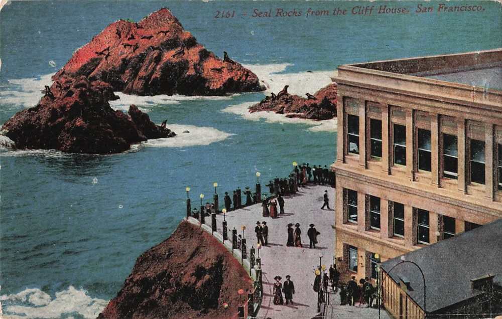 1910s Seal Rocks from the Cliff House, San Francisco, California #2161 Postcard