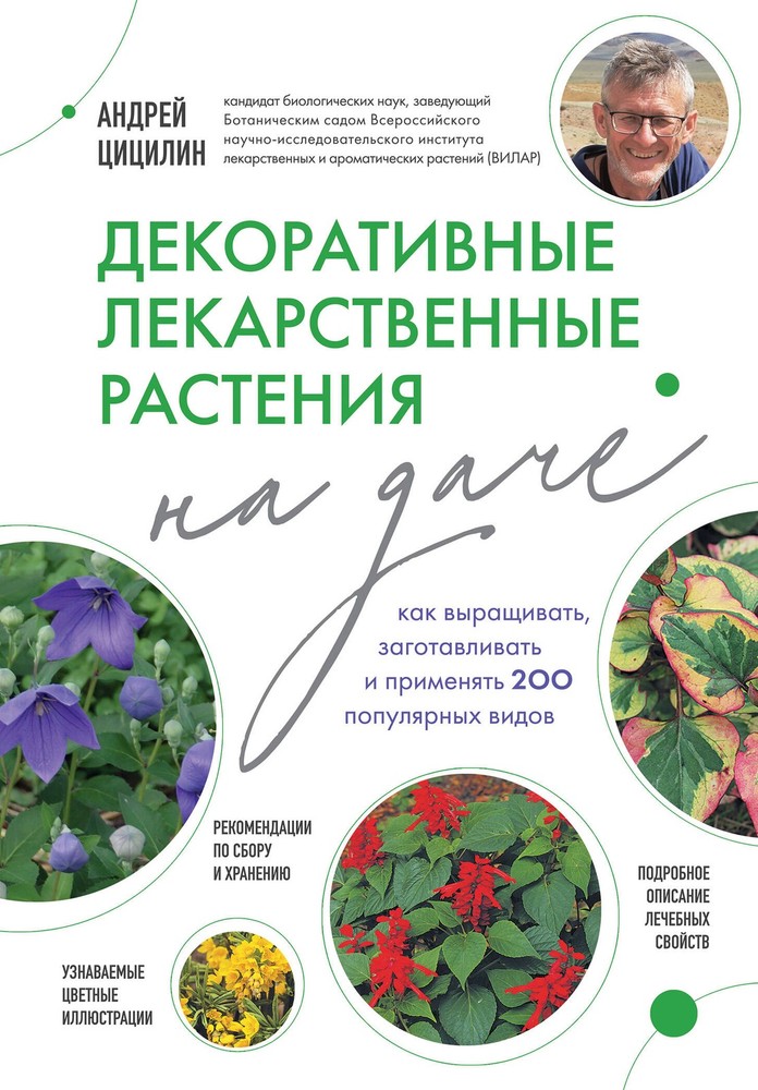 Декоративные лекарственные растения на даче. Как выращивать, заготавливать и при