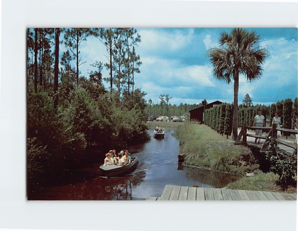 Postcard Okefenokee Swamp Park Waycross Georgia USA
