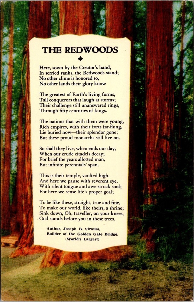 Dr Jim Stamps Postcard The Redwoods Poem Unposted