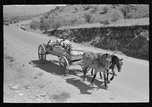 Cattle Ranch near Marfa,Texas,TX,Farm Security Administration,FSA,May 1939,16