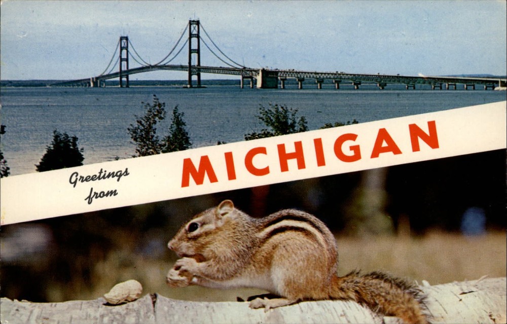 Michigan Greetings from bridge squirrel views  1950-60s vintage postcard ~ s0061