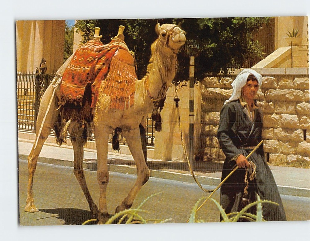 Postcard Old City Street Scene Jerusalem Israel