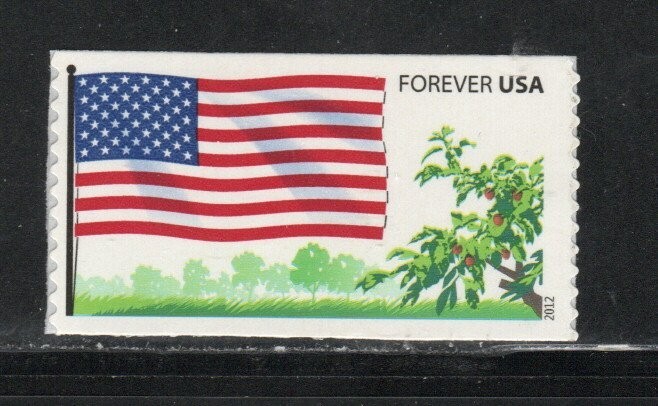 4332 *  FRUITED PLAINS FLAG *  U.S. Postage FOREVER Stamp MNH