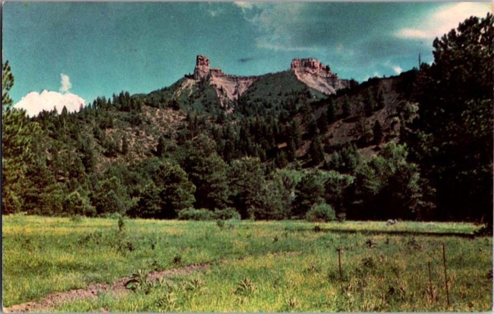 Between Durango And Pagosa Springs Colorado CO : NATURE SCENE m/14 BD5115