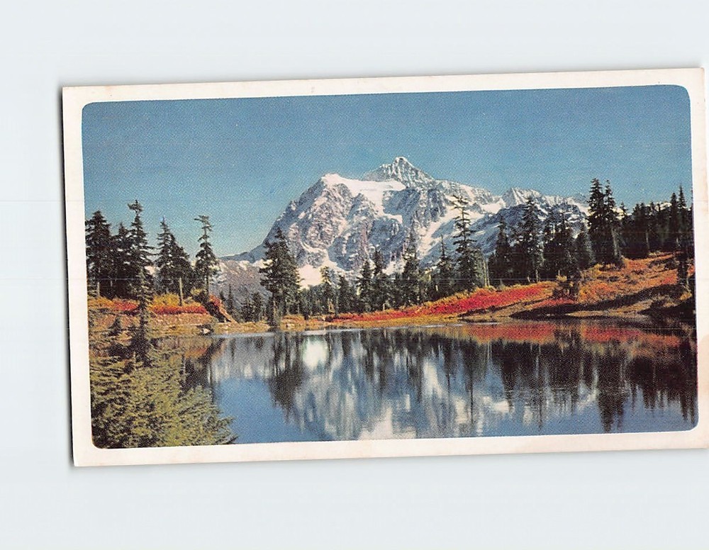 Postcard Washington's Mount Baker National Forest Mt Shuksan USA North America