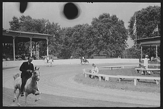 Shelby County Horse Show & Fair,Shelbyville,Kentucky,KY,August 1940,FSA,6 1