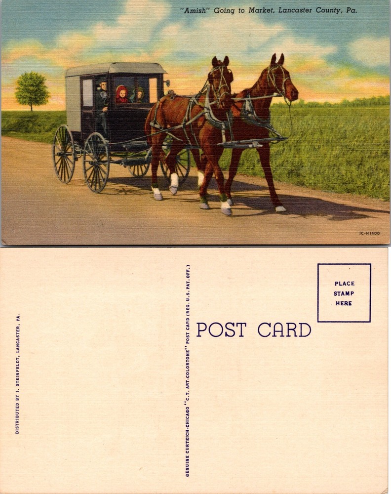 Amish Horse and Buggy Lancaster County PA Postcard