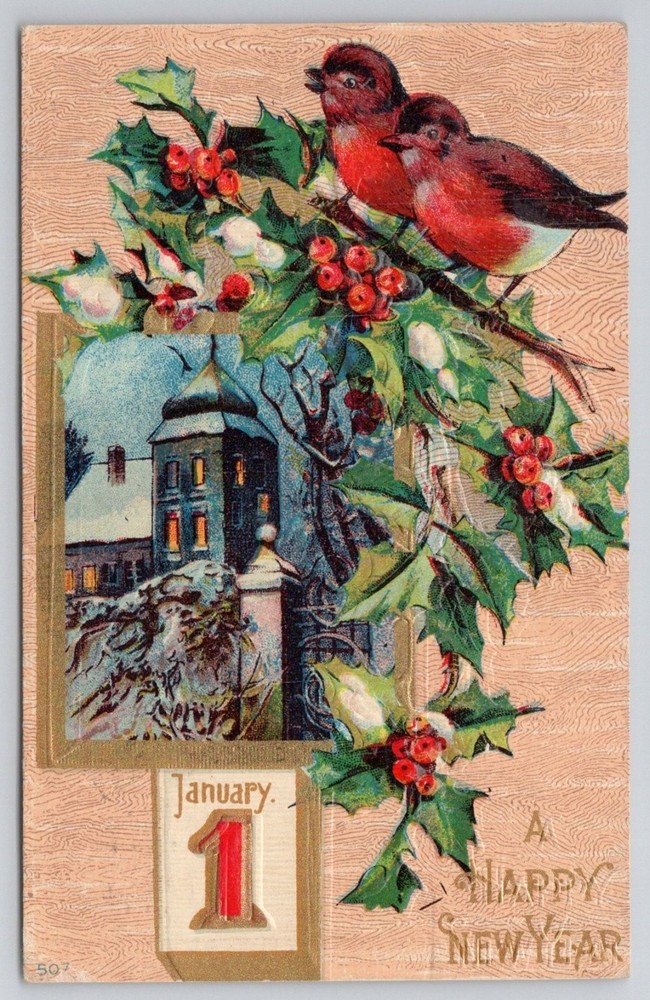 1910 New Year Postcard Birds Holly Winter Scene Embossed Malvern Iowa
