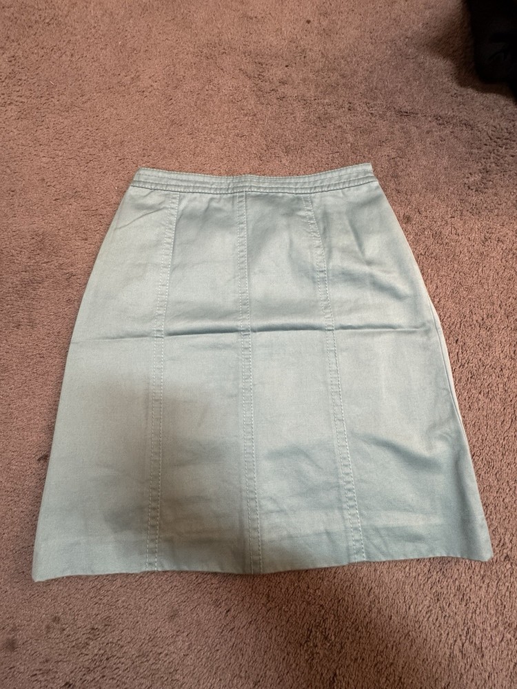 Ann Taylor Light Blue Midi Skirt Size 2P