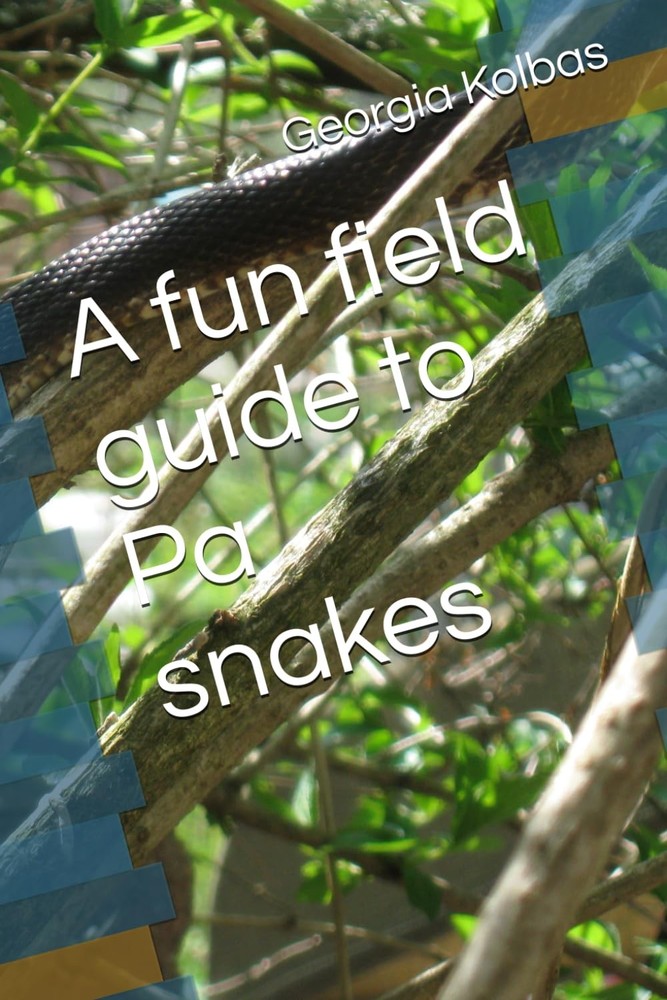 A fun field guide to Pa snakes