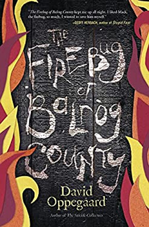 The Firebug of Balrog County Paperback David Oppegaard