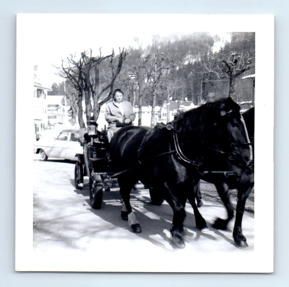Old Vintage Square Photo SOLO WOMAN RIDING HORSE DRAWN CART CARRIAGE
